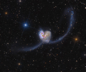 Valentine Antennae Galaxies